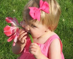 Kloey eating a flower at Gma's and Gpa's.